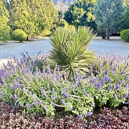 The By An B&B Lapithos (Northern Cyprus)