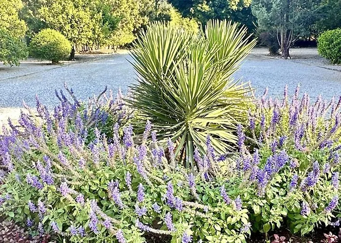 The By An ベッド・アンド・ブレックファスト ラピソス